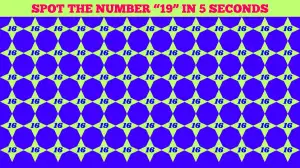 Test Visual Acuity: Only Eagle Eyes Can Spot The Hidden Number 19 Among 16's within 5 Seconds!