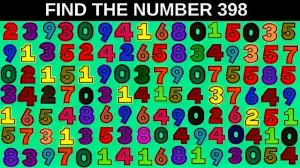 Only visually talented people can find the Number 398 in 8 Secs