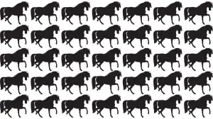 Ultimate Visual Skill Test: Can you Find the Odd Horse in 12 Secs