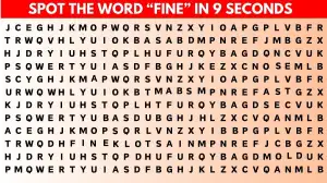 Visual Challenge: Mind-bending Brain Teaser Challenge You to Find the Word Fine in 9 Secs