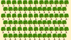 Visual Test: Can you Pick the Odd Tree in this Image in Just 12 Secs