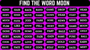 Visual Test: Only 1% With Super Vision Can Spot The Word Moon in 6 Secs