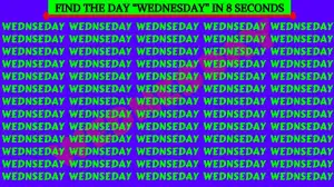 Visual Test: Only 1% With Super Vision Can Spot The Word Wednesday in 8 Secs