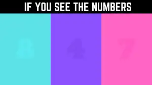 Visual Test: Only Sharp Eyes Can Guess the Hidden Number in this Image in 5 Secs