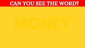 You Have 4K Vision If You Can Guess the Word In 11 Seconds!