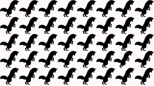 Brain Teaser Eye Test: Can you circle the Odd Fox In 12 Secs