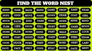 Brain Teaser For IQ Test: Only 1% Of Genius Can Find the Word Nest in 8 Secs