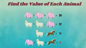 Can You Solve and Find the Value of Each Animal?