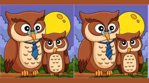 Do you have razor-sharp eyes? Spot 3 differences between Mom and Child Owl pictures in 15 seconds!