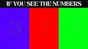 Observation Brain Challenge: Only a Genius Brain Can Spot the Hidden Number in this Image in 6 Secs