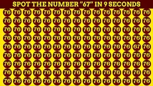 Observation Visual test: Only Extra Sharp Eyes Can Find the Number 67 among 76 in 9 Secs