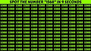 Only 4k Vision People can Find the Number 1568 among 1560 in 9 Secs