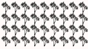 Only 5% Can Spot the Different Coconut Tree the Picture in 10 secs!