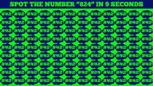 Only the 1% attentive can spot the hidden Number 824 in this picture within 9 seconds