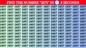 Optical Illusion Eye Test:  Only 4k Vision People can Find the Number 2875 among 2857 in 8 Secs