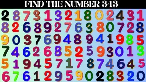 Optical Illusion Eye Test: Only A Human With 360 Vision Can Spot the Number 343 in 8 Secs