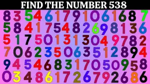 People with 20/20 vision can spot the Number 538 in this Image in 6 Secs