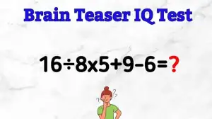 Solve This Math Puzzle Equating 16÷8x5+9-6