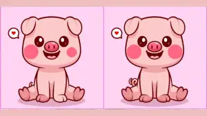 Spot the Difference Picture Puzzle: Only Genius can spot 3 differences between the Cute Pig pictures in 10 seconds