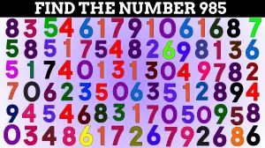 Test Visual Acuity: Only Extra Sharp Eyes can Find the Hidden Number 985 in Less than 5 seconds