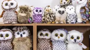 Test Visual Acuity: You Have 50/50 Vision Can Spot The Real Owl Within 12 Seconds!