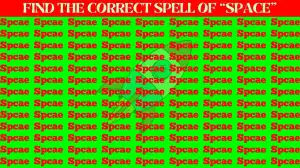 Test Visual Acuity: You have eyes like an Eagle if you can find the Correct Spell of Space in 12 Secs