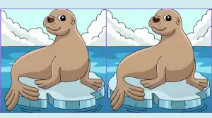 You have the greatest pair of eyes if you can spot 3 differences in the seal picture within 18 seconds