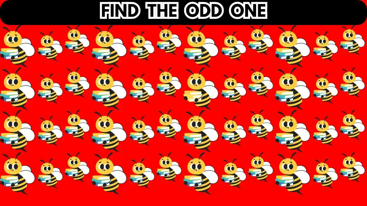 Brain Teaser: Can You Find the Odd One in 10 Seconds?
