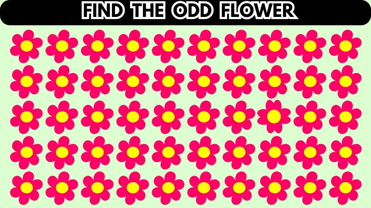 Головоломка: попробуйте найти странный цветок за 10 секунд