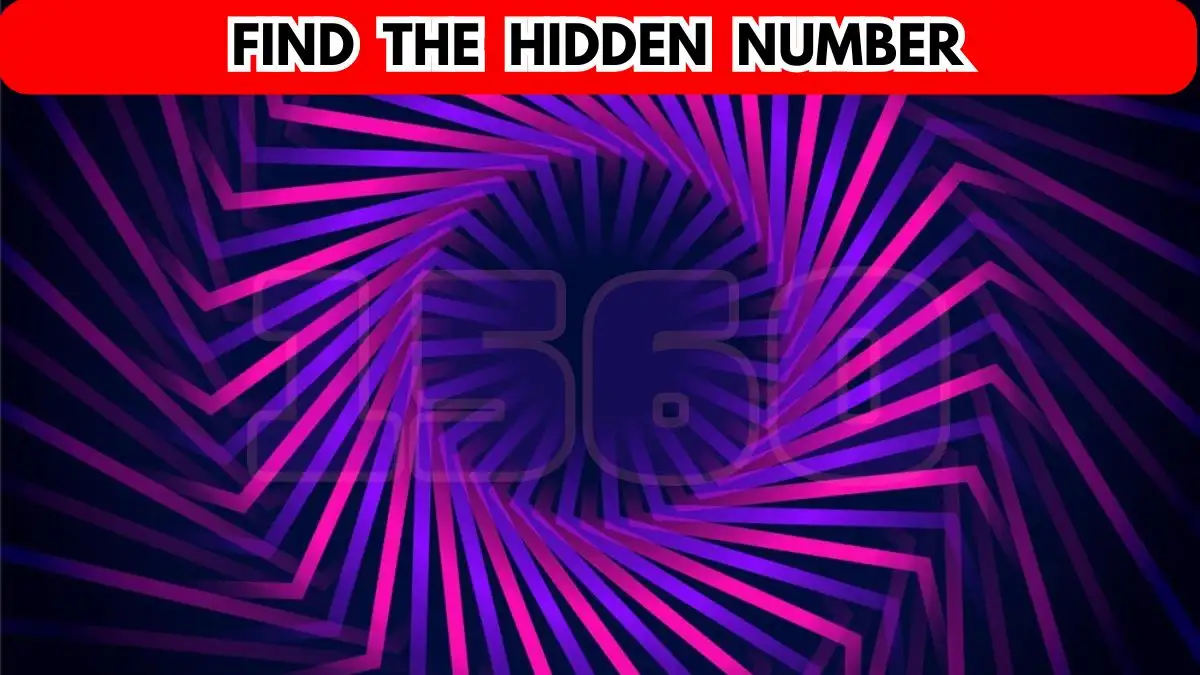 Brain Teaser: Try to Find the Hidden Number in 8 Seconds