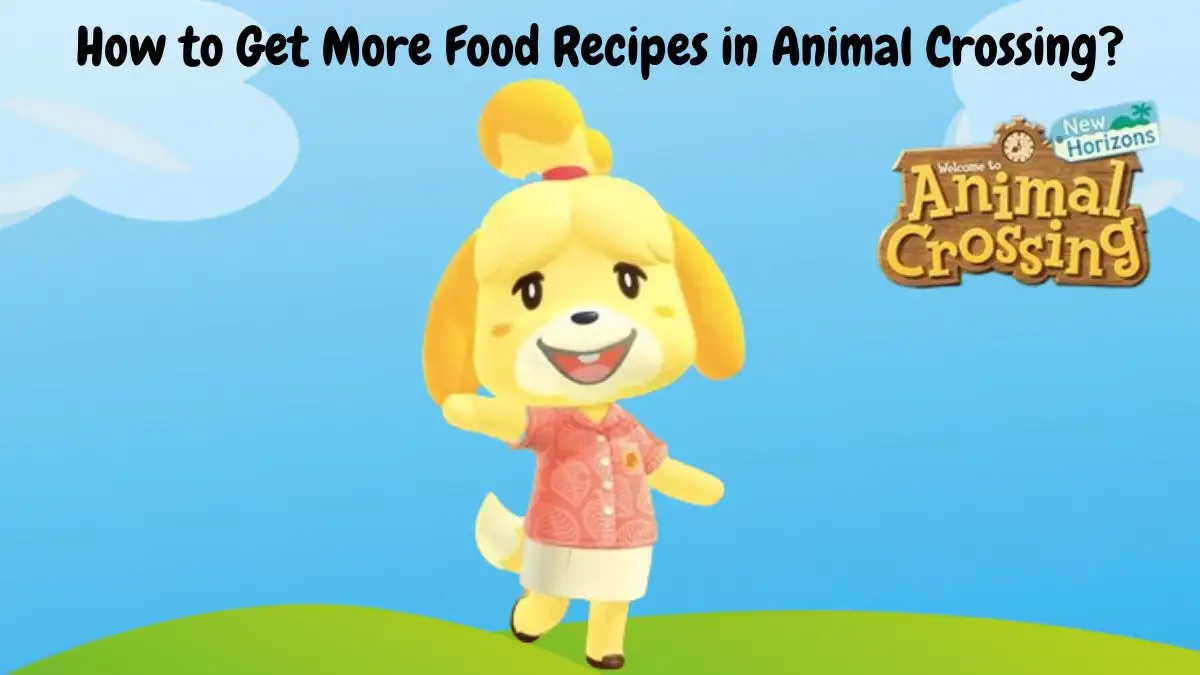 How to Get More Food Recipes in Animal Crossing?
