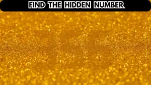 Optical Illusion: Can You Try to Find the Hidden Number in 10 Seconds?