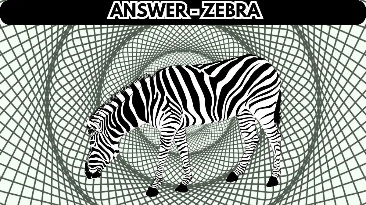 Оптическая иллюзия: попробуйте найти спрятанное число за 10 секунд
