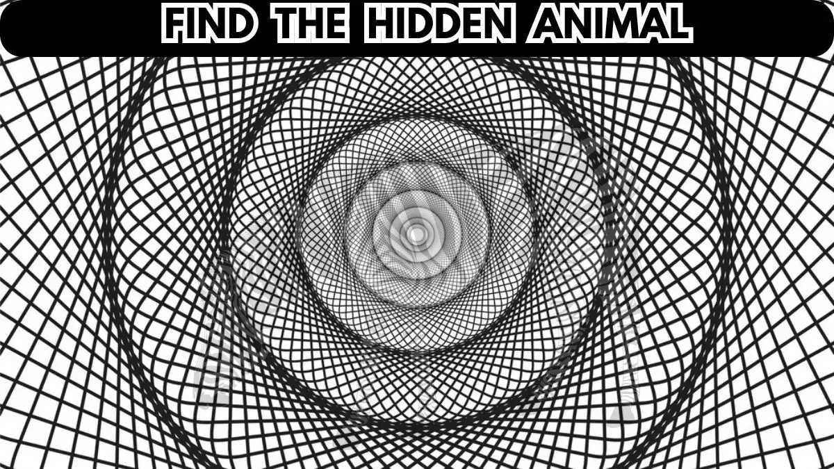 Оптическая иллюзия: попробуйте найти спрятанное число за 10 секунд