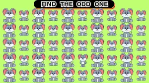 Brain Teaser Odd Challenge: Can You  Find the Odd One in 12 Seconds?