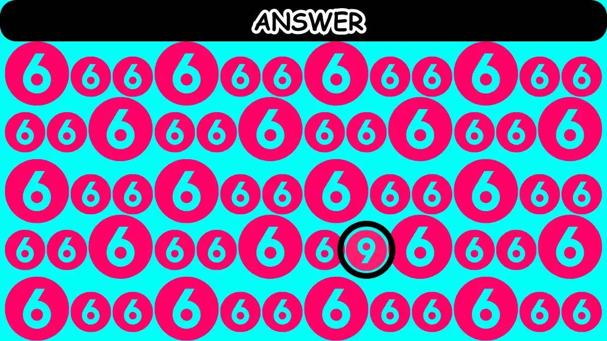 Optical Illusion: Can You Find the Number 9 in 10 Seconds?
