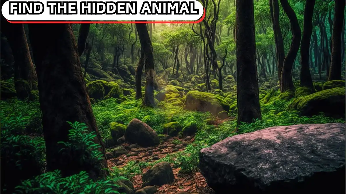 Pokušajte pronaći skrivenu životinju u 10 sekundi