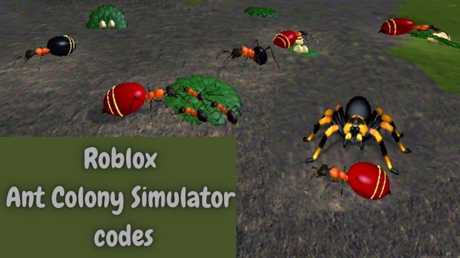 Roblox Ant Colony Simulator Codes April 2021, List Of Active Ant Colony Simulator Codes, How To Redeem?