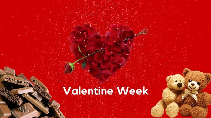 Feb Date Sheet 2021: When is Valentine Day 2021 in India? Valentine Day Schedule, Valentine Week Colour Code, List and More