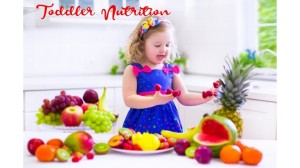 Toddler Nutrition