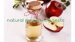 Natural Pregnancy Tests