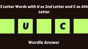 5 Letter Words with U as 2nd Letter and C as 4th Letter All Words List