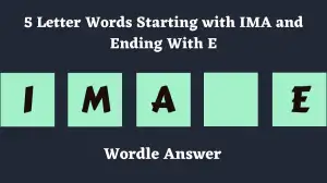 5 Letter Words Starting with IMA and Ending With E All Words List