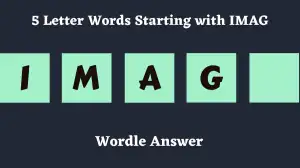 5 Letter Words Starting with IMAG All Words List