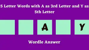 5 Letter Words with A as 3rd Letter and Y as 5th Letter All Words List