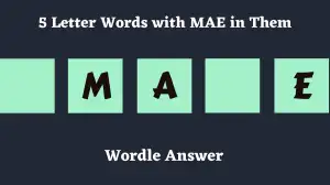 5 Letter Words with MAE in Them All Words List