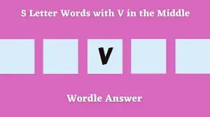 5 Letter Words with V in the Middle All Words List