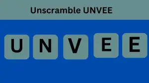 Unscramble UNVEE Jumble Word Today