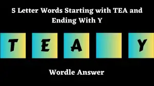 5 Letter Words Starting with TEA and Ending With Y All Words List