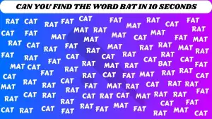 Brain Teaser for Geniuses: Only 2% of People Can Spot the Word Bat in This Image Within 10 Seconds